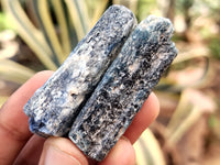 Natural Kyanite Crystals x 49 From Zimbabwe