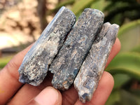 Natural Kyanite Crystals x 49 From Zimbabwe