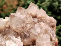 Natural Smokey Phantom Quartz Clusters x 4 From Luena, Congo