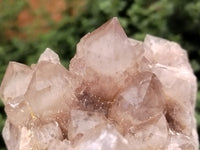 Natural Smokey Phantom Quartz Clusters x 4 From Luena, Congo