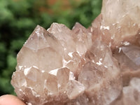 Natural Smokey Phantom Quartz Clusters x 4 From Luena, Congo