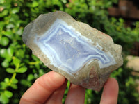 Natural Blue Lace Agate Geode Specimens x 6 From Nsanje, Malawi