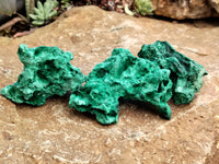 Natural Silky Malachite Specimens x 5 From Kasompe, Congo