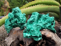 Natural Silky Malachite Specimens x 5 From Kasompe, Congo