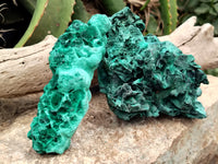 Natural Silky Malachite Specimens x 5 From Kasompe, Congo