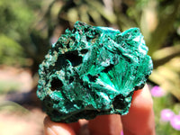 Natural Silky Malachite Specimens x 5 From Kasompe, Congo