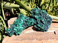 Natural Silky Malachite Specimens x 5 From Kasompe, Congo