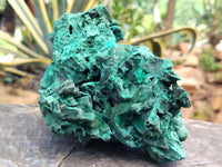 Natural Silky Malachite Specimens x 5 From Kasompe, Congo