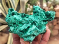 Natural Silky Malachite Specimens x 5 From Kasompe, Congo