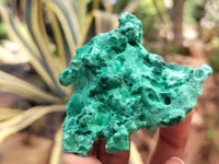 Natural Silky Malachite Specimens x 5 From Kasompe, Congo