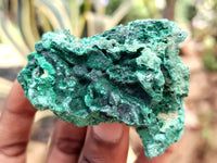 Natural Silky Malachite Specimens x 5 From Kasompe, Congo