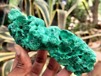 Natural Silky Malachite Specimens x 5 From Kasompe, Congo