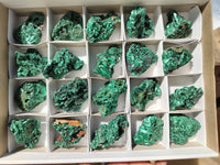 Natural Silky Malachite Specimens x 20 From Kasompe, Congo