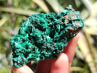 Natural Silky Malachite Specimens x 20 From Kasompe, Congo