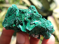 Natural Silky Malachite Specimens x 20 From Kasompe, Congo