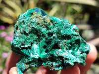 Natural Silky Malachite Specimens x 20 From Kasompe, Congo