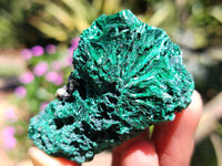 Natural Silky Malachite Specimens x 20 From Kasompe, Congo