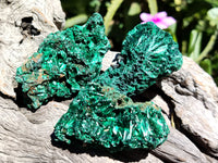 Natural Silky Malachite Specimens x 20 From Kasompe, Congo