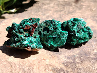 Natural Silky Malachite Specimens x 20 From Kasompe, Congo