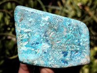 Polished Shattuckite with Azurite and Chrysocolla Free Forms x 6 From Congo