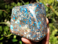 Polished Shattuckite with Azurite and Chrysocolla Free Forms x 6 From Congo