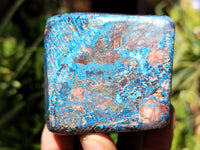 Polished Shattuckite with Azurite and Chrysocolla Free Forms x 6 From Congo