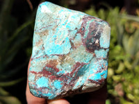 Polished Shattuckite with Azurite and Chrysocolla Free Forms x 6 From Congo