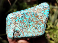 Polished Shattuckite with Azurite and Chrysocolla Free Forms x 6 From Congo