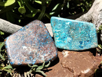 Polished Shattuckite with Azurite and Chrysocolla Free Forms x 6 From Congo