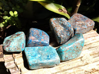 Polished Shattuckite with Azurite and Chrysocolla Free Forms x 6 From Congo