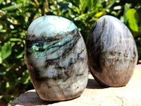 Polished Labradorite Standing Free Forms x 6 From Tulear, Madagascar