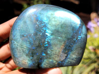 Polished Labradorite Standing Free Forms x 6 From Tulear, Madagascar