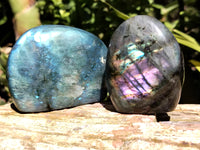 Polished Labradorite Standing Free Forms x 6 From Tulear, Madagascar