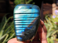 Polished Labradorite Standing Free Forms x 6 From Tulear, Madagascar