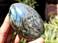 Polished Labradorite Standing Free Forms x 6 From Tulear, Madagascar