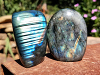 Polished Labradorite Standing Free Forms x 6 From Tulear, Madagascar