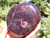 Polished Lepidolite Standing Free Forms x 2 From Zimbabwe