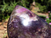 Polished Lepidolite Standing Free Forms x 2 From Zimbabwe