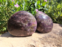 Polished Lepidolite Standing Free Forms x 2 From Zimbabwe