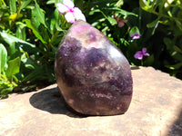 Polished Lepidolite Standing Free Forms x 2 From Zimbabwe