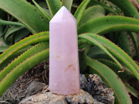 Polished Rose Quartz Points x 2 From Ambatondrazaka, Madagascar