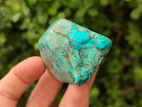 Polished Shattuckite with Azurite and Chrysocolla Free Forms x 12 From Congo