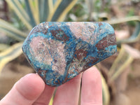 Polished Shattuckite with Azurite and Chrysocolla Free Forms x 12 From Congo