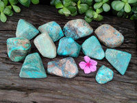 Polished Shattuckite with Azurite and Chrysocolla Free Forms x 12 From Congo