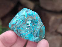 Polished Shattuckite with Azurite and Chrysocolla Free Forms x 12 From Congo