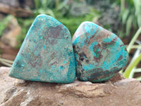 Polished Shattuckite with Azurite and Chrysocolla Free Forms x 12 From Congo