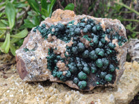 Natural Ball Malachite On Quartz Matrix Specimen x 1 From Kambove, Congo