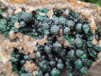 Natural Ball Malachite On Quartz Matrix Specimen x 1 From Kambove, Congo