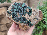 Natural Ball Malachite On Quartz Matrix Specimen x 1 From Kambove, Congo