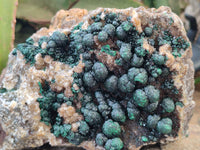 Natural Ball Malachite On Quartz Matrix Specimen x 1 From Kambove, Congo